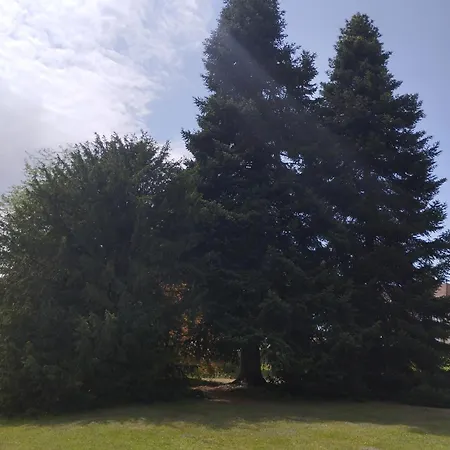 Zajazd Ma Tranquillite