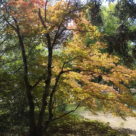 Zajazd Ma Tranquillite