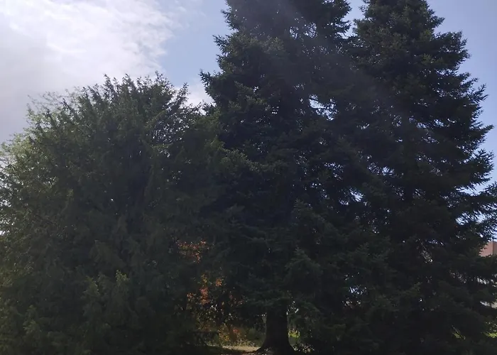 宾馆 Ma Tranquillite