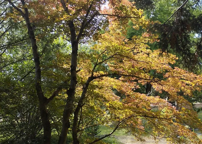 宾馆 Ma Tranquillite